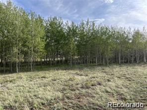 1599 Campfire Road Hartsel, CO 80449 - Photo 38 of 39