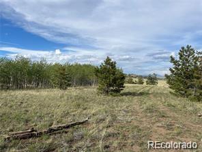 1599 Campfire Road Hartsel, CO 80449 - Photo 4 of 39