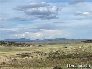 1599 Campfire Road Hartsel, CO 80449 - Photo 8 of 39