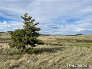 1599 Campfire Road Hartsel, CO 80449 - Photo 9 of 39