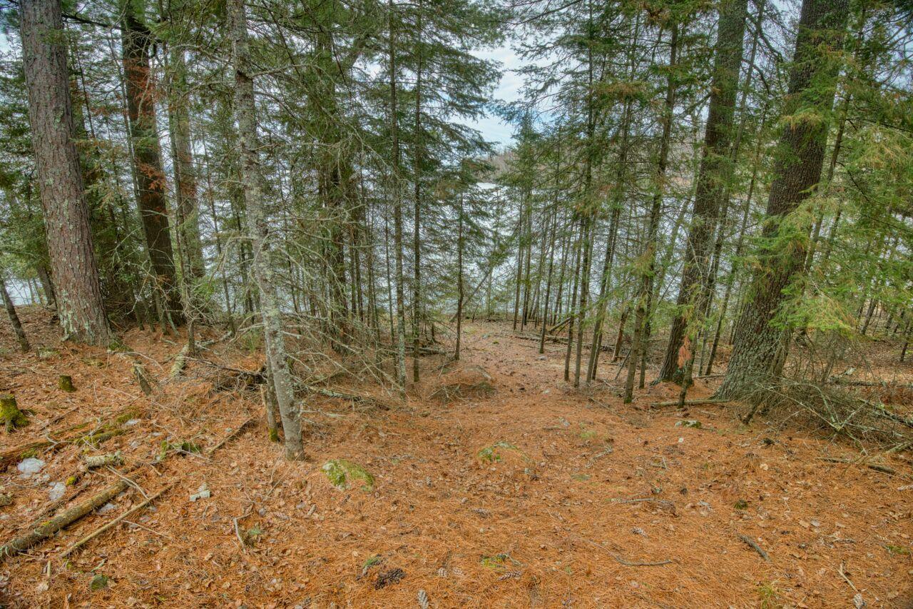 10894 Bessette Road Orr, MN 55771 - Photo 17 of 47