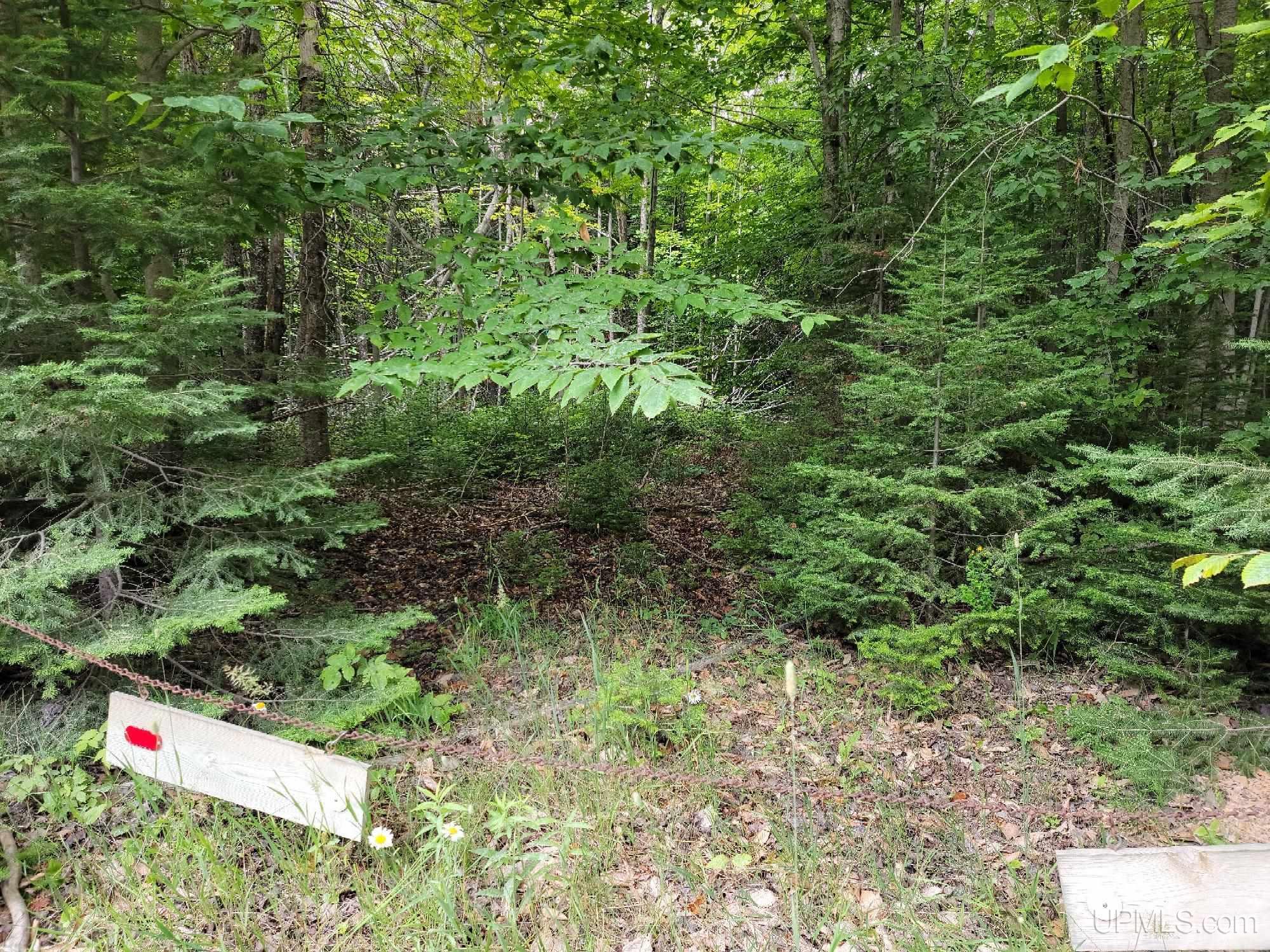 3733s Little Harbor Road Manistique, MI 49854 - Photo 11 of 15 Gallery Image 11