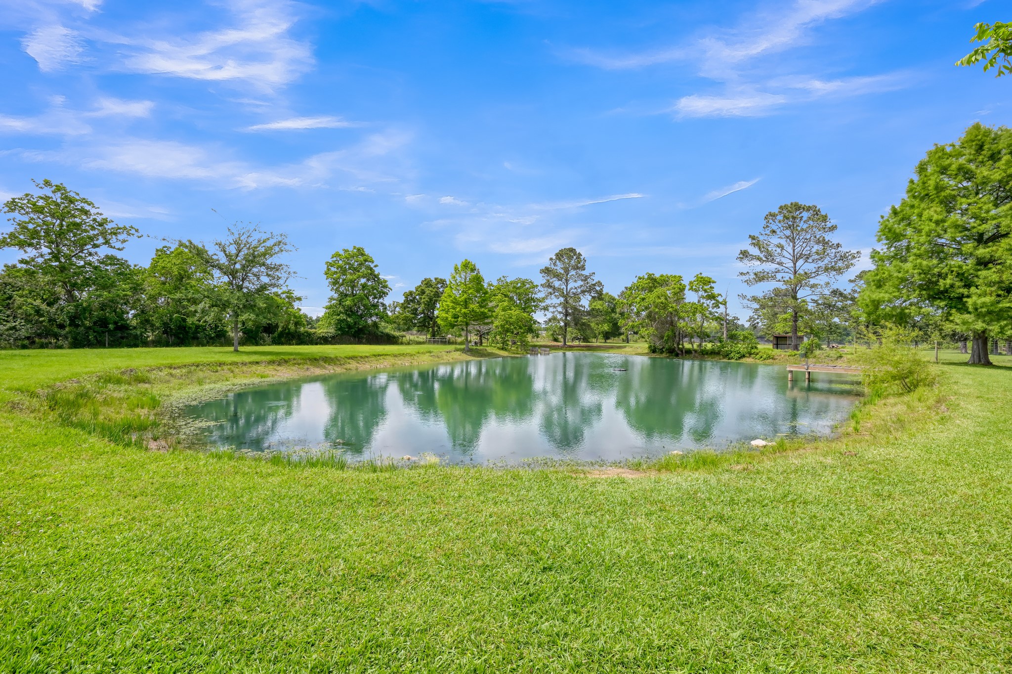 251 Petty Road Waller, TX 77484 - Photo 8 of 14 Gallery Image 8