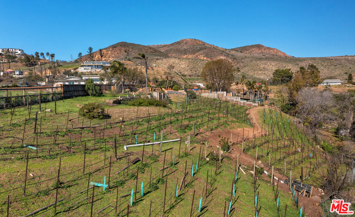 29800 Cuthbert Road Malibu, CA 90265 - Photo 23 of 25