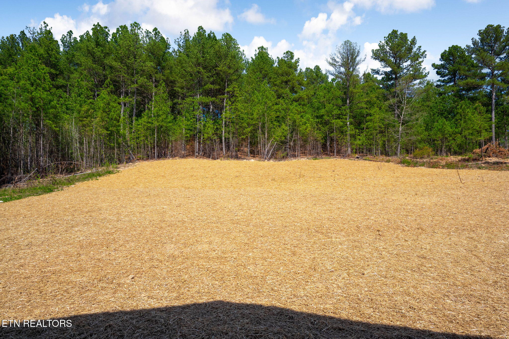 3753 Blythes Ferry Road Dayton, TN 37321 - Photo 32 of 32 32-web-or-mls-DSC_6469