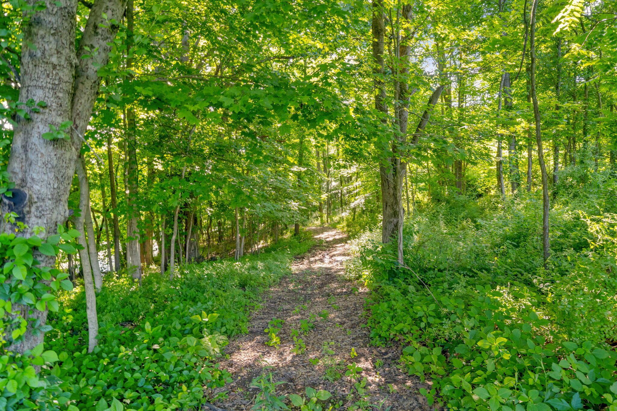 5516 Lancaster Road Hebron, OH 43025 - Photo 101 of 116 Trails