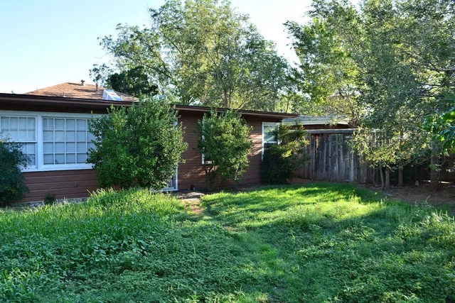 a view of a backyard with plants and large trees