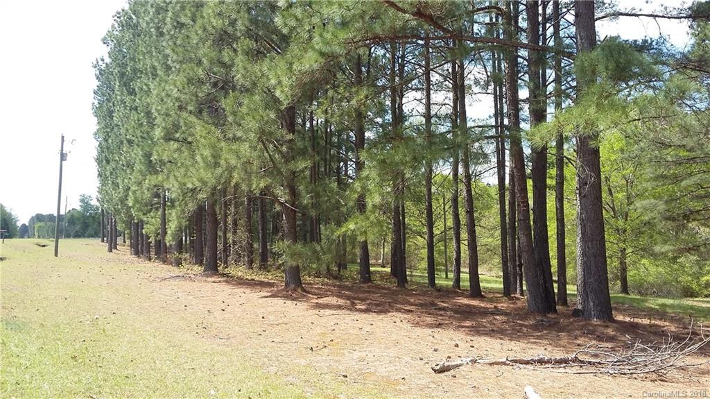 0 North Oakland Church Road Chesterfield, SC 29709 - Photo 1 of 5 a view of outdoor space with trees