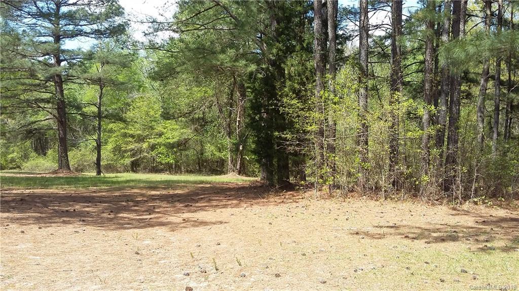 0 North Oakland Church Road Chesterfield, SC 29709 - Photo 2 of 5 a view of a yard with large trees