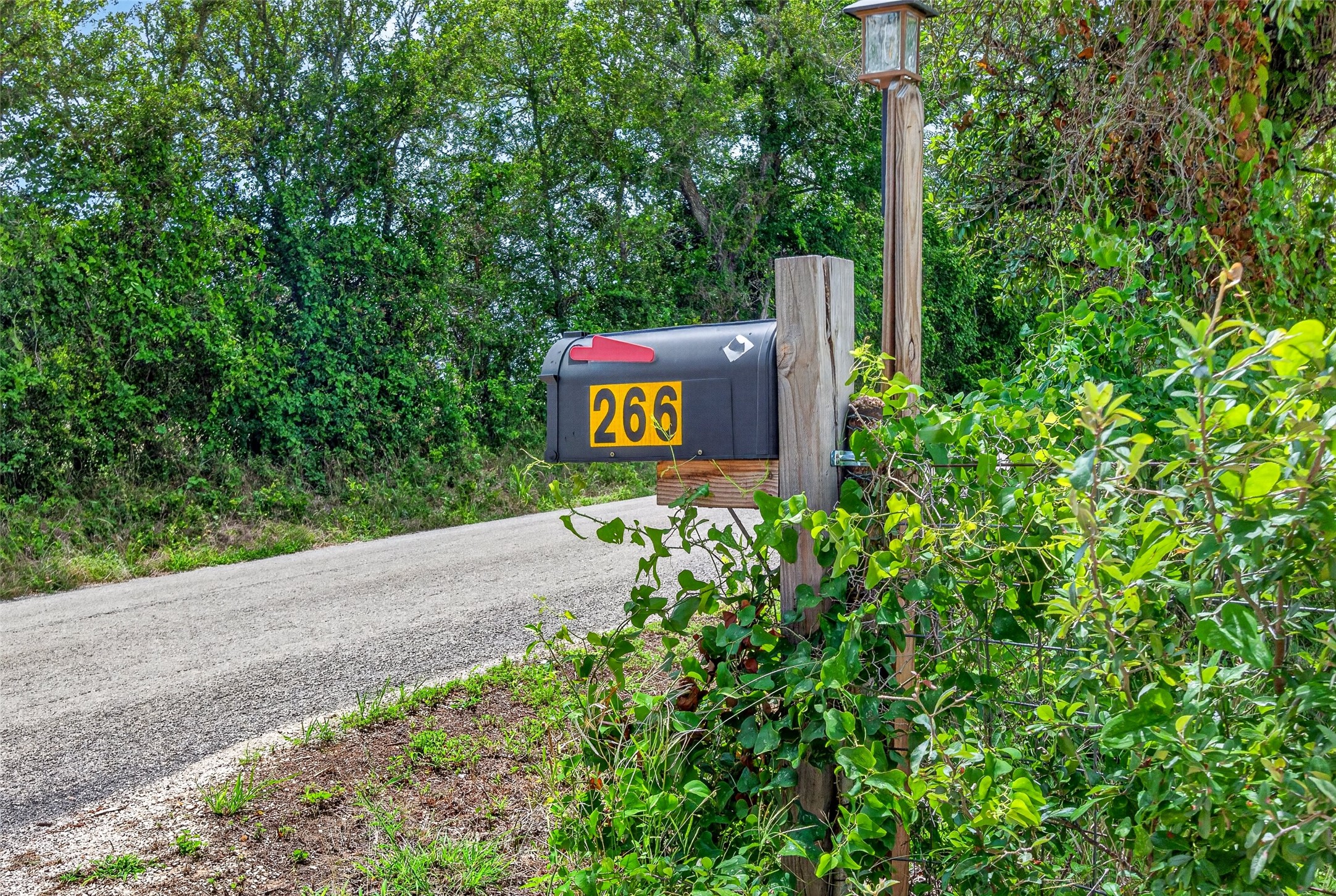266 Beaver Road Elgin, TX 78621 - Photo 4 of 40 A charming roadside mailbox awaits deliveries, set against a backdrop of natural greenery.