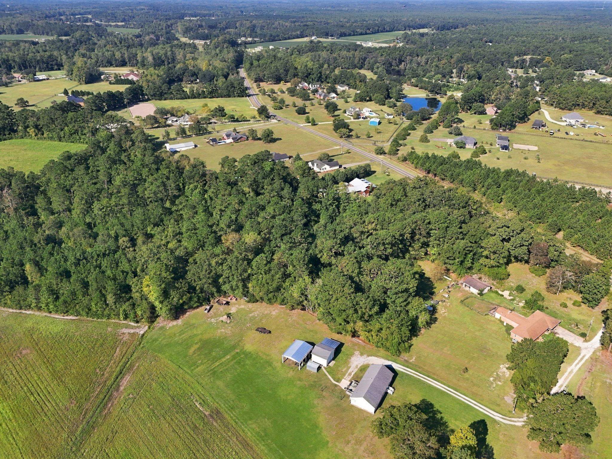 1612 Colts Neck Road Loris, SC 29569 - Photo 9 of 15 Gallery Image 9