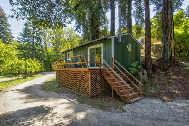 a backyard of a house with a yard and tree