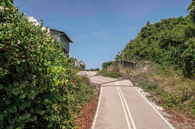 a view of a yard with plants and a bench