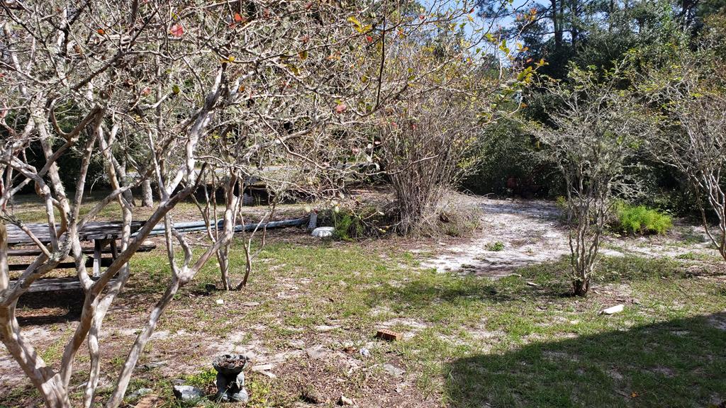 220 River Road Carrabelle, FL 32322 - Photo 16 of 37 Gallery Image 16