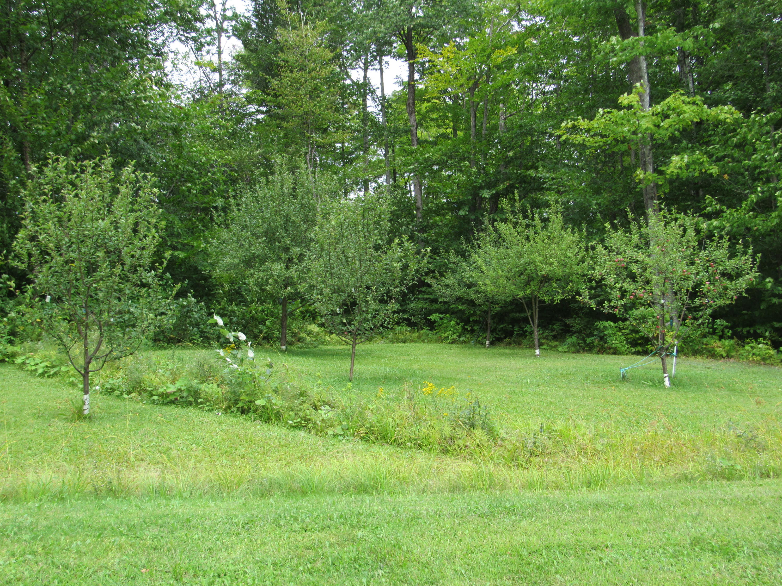 276 Ames Road Cornville, ME 04976 - Photo 9 of 36 IMG_2720