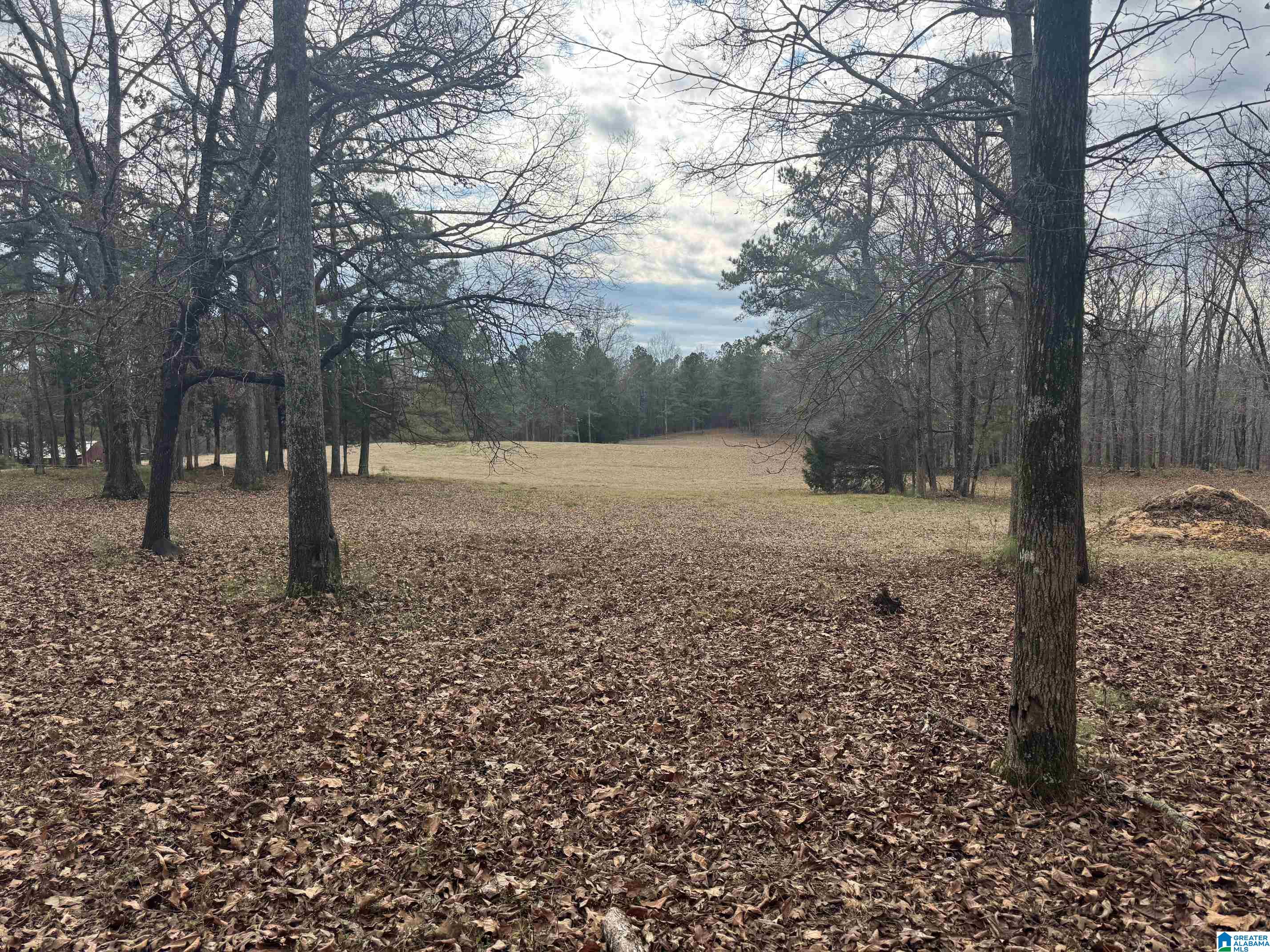 3953 Logan Martin Dam Road Cropwell, AL 35054 - Photo 67 of 99