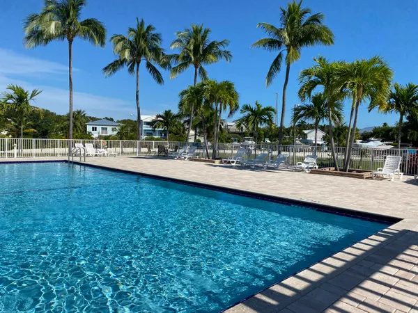 a close up of a potted plant