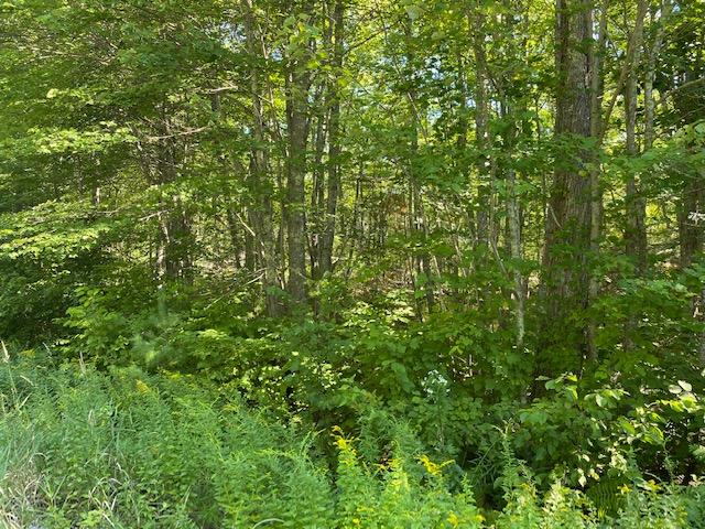 5 Duffys Way Biddeford, ME 04005 - Photo 2 of 18 IMG_1164