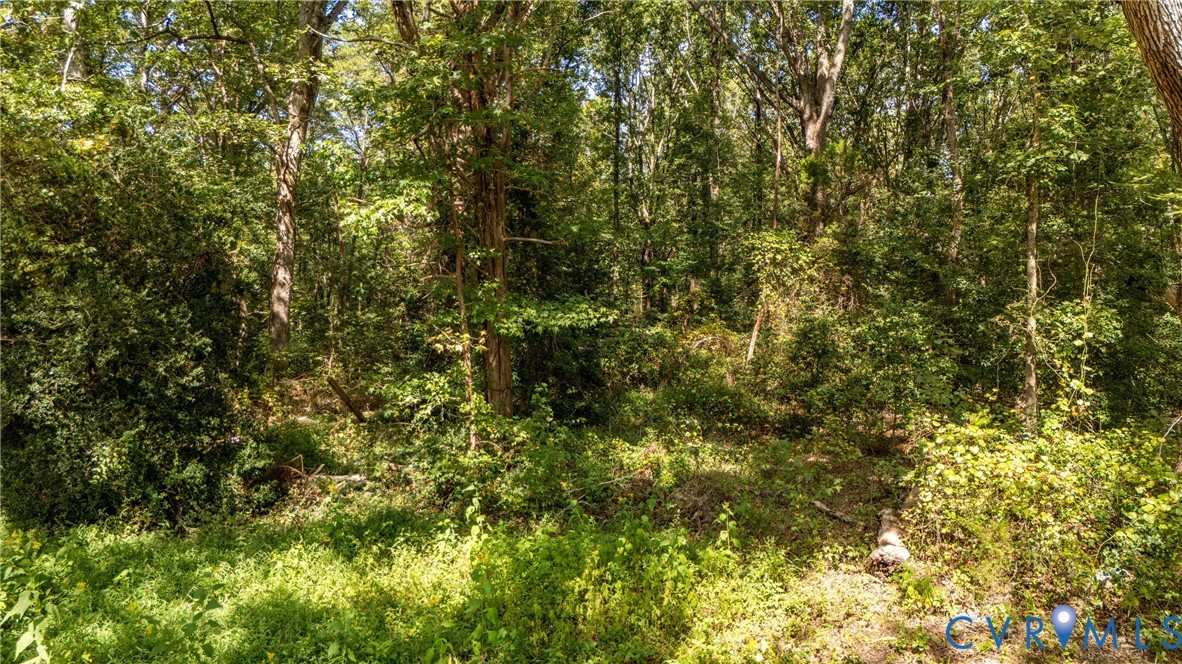 1722 Taylor Road Crozier, VA 23039 - Photo 3 of 16