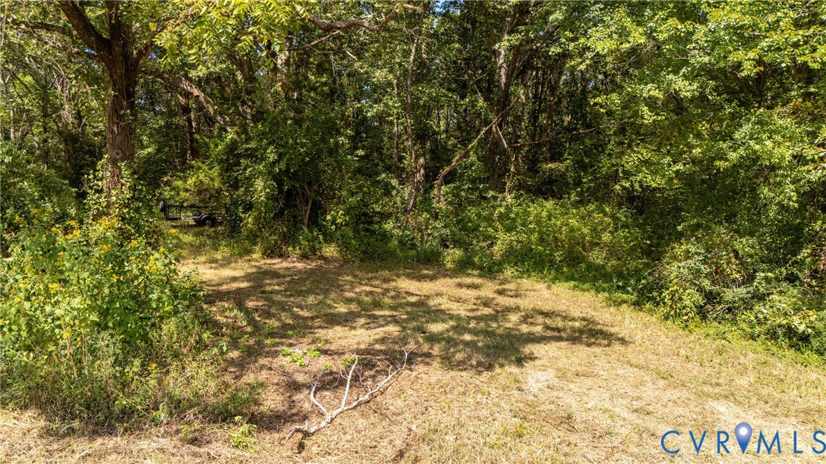 1722 Taylor Road Crozier, VA 23039 - Photo 6 of 16