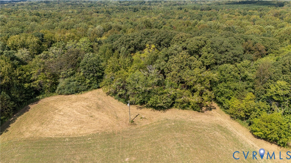 1722 Taylor Road Crozier, VA 23039 - Photo 9 of 16