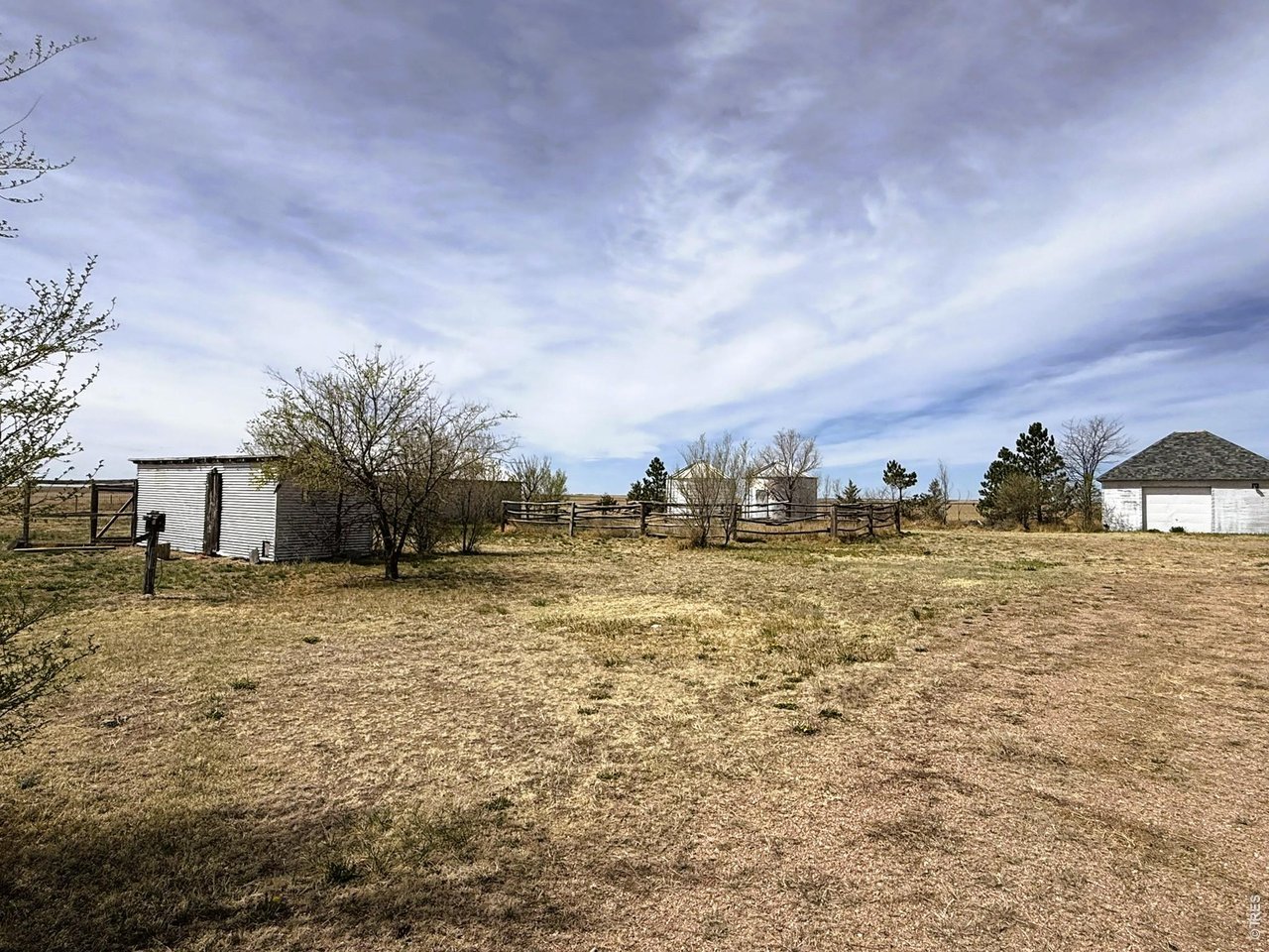 1935 County Road 75 Fleming, CO 80728 - Photo 27 of 31 a view of a yard with an trees