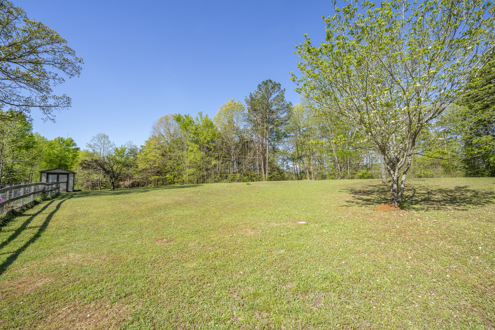 4195 Morrison Creek Road Clifton, TN 38425 - Photo 16 of 97
