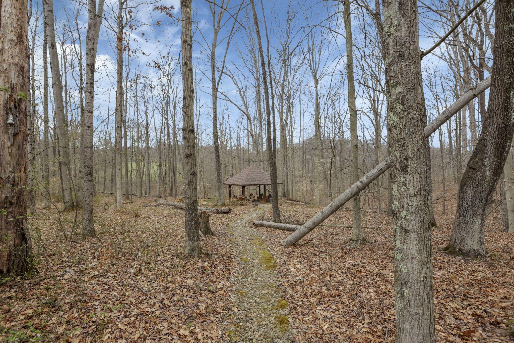 16541 Skinner Road Logan, OH 43138 - Photo 62 of 67 62-web-or-mls-LO5A5410
