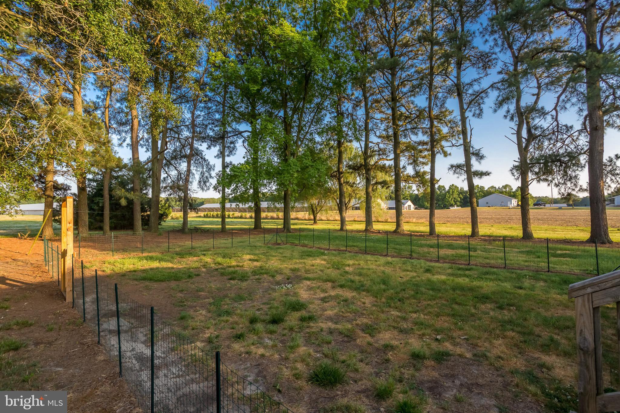 3552 Redden Road Pocomoke City, MD 21851 - Photo 31 of 43 Gallery Image 31