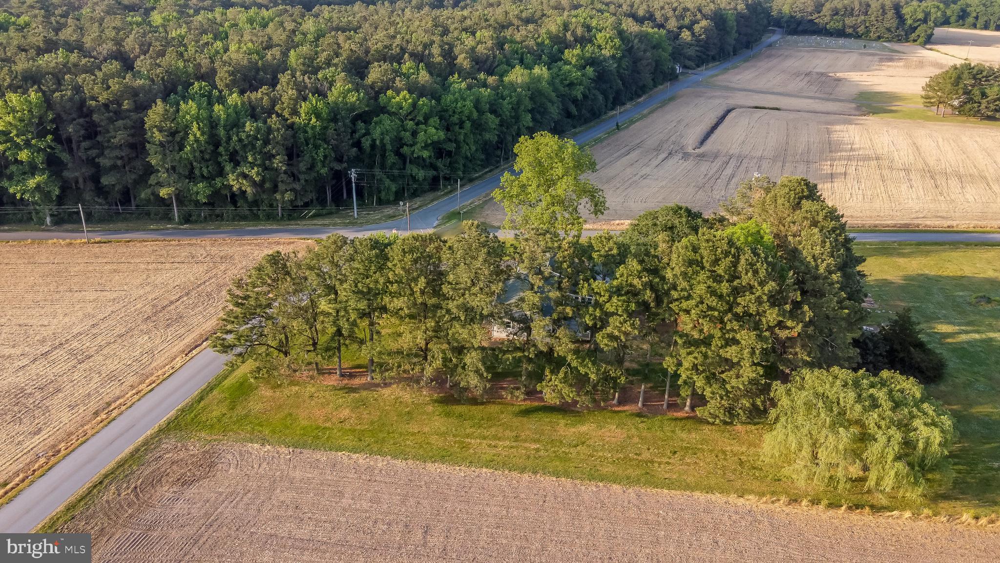 3552 Redden Road Pocomoke City, MD 21851 - Photo 41 of 43 Gallery Image 41
