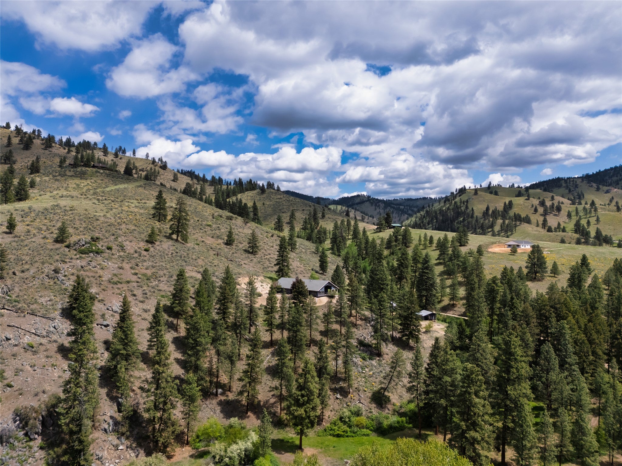 231 Juneberry Road Conner, MT 59827 - Photo 45 of 50 Gallery Image 45