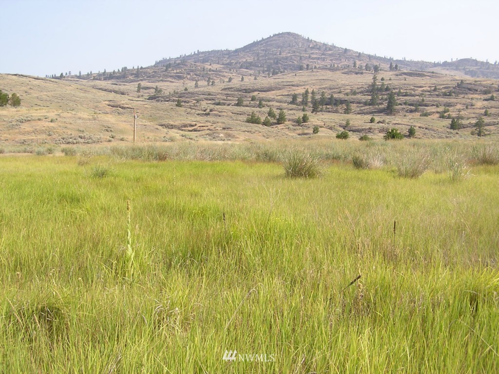1 West Old Anglin Road Tonasket, WA 98855 - Photo 1 of 16 Gallery Image 1