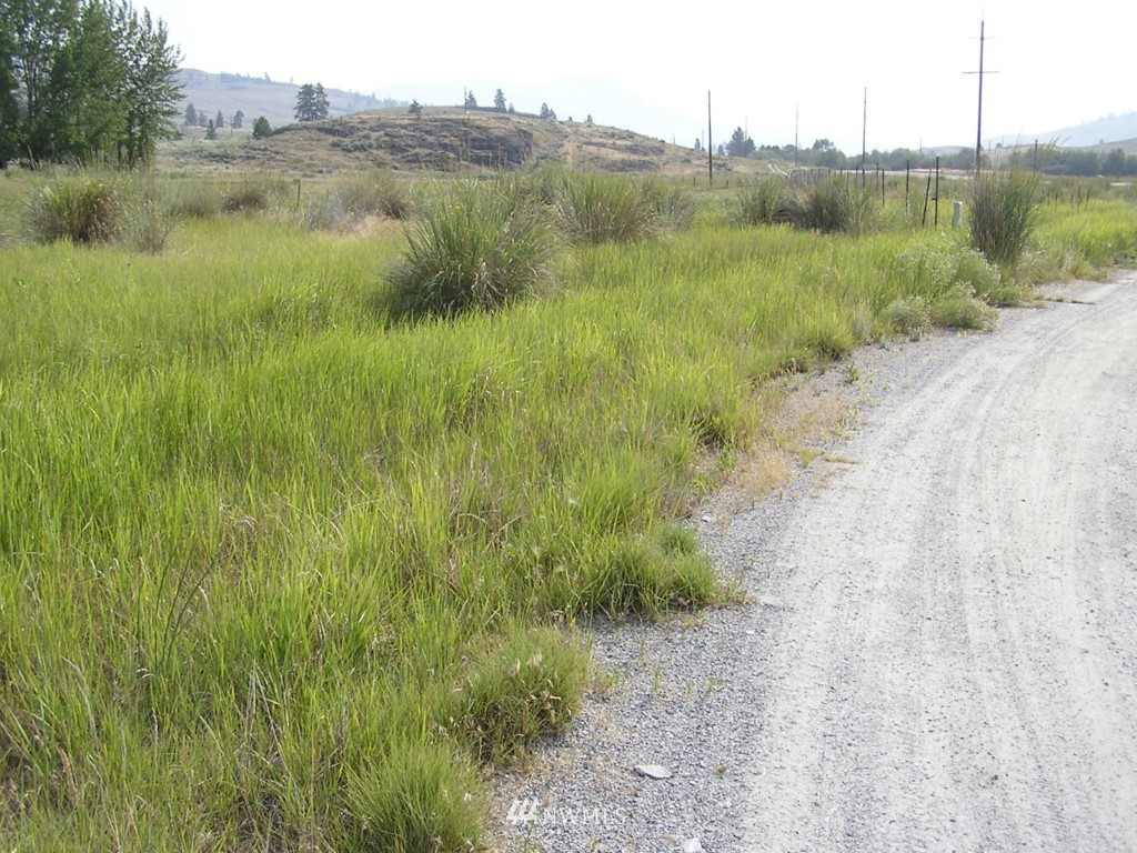 1 West Old Anglin Road Tonasket, WA 98855 - Photo 2 of 16 Gallery Image 2