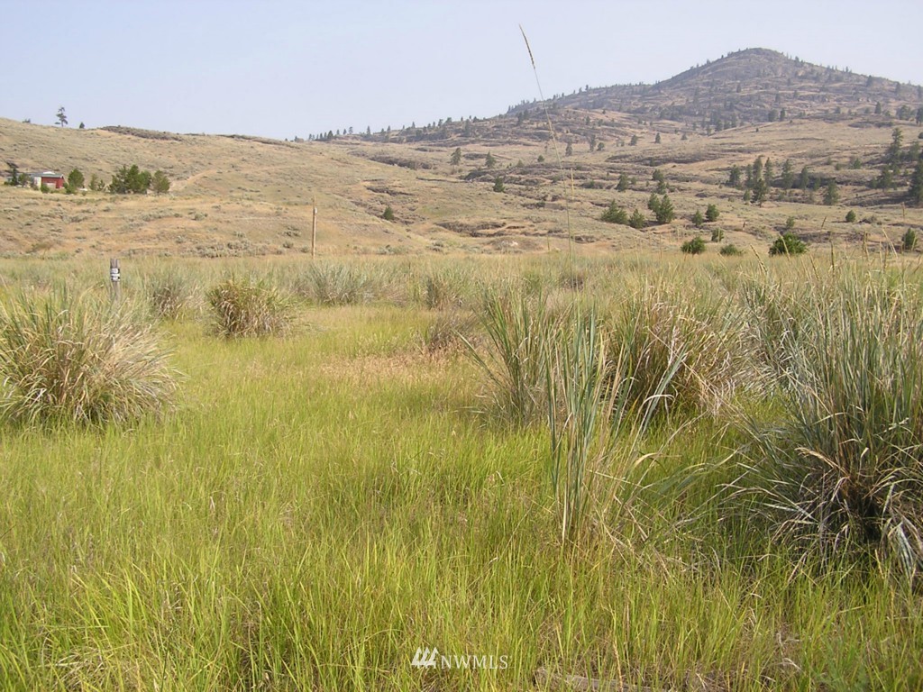 1 West Old Anglin Road Tonasket, WA 98855 - Photo 5 of 16 Gallery Image 5