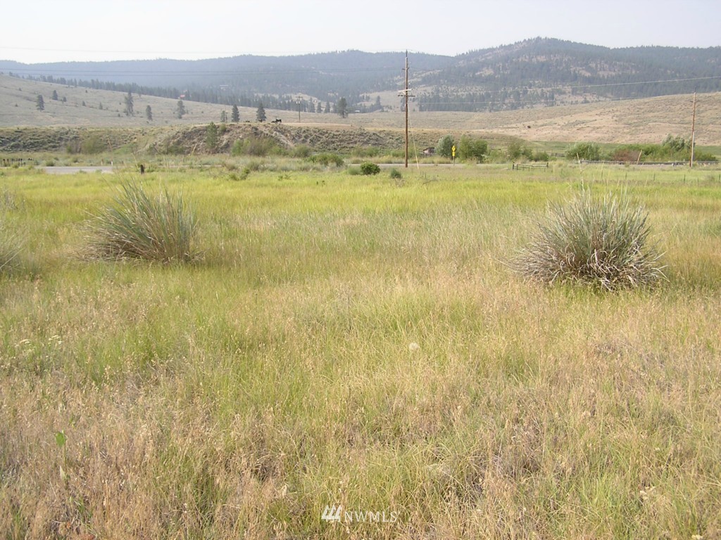 1 West Old Anglin Road Tonasket, WA 98855 - Photo 6 of 16 Gallery Image 6