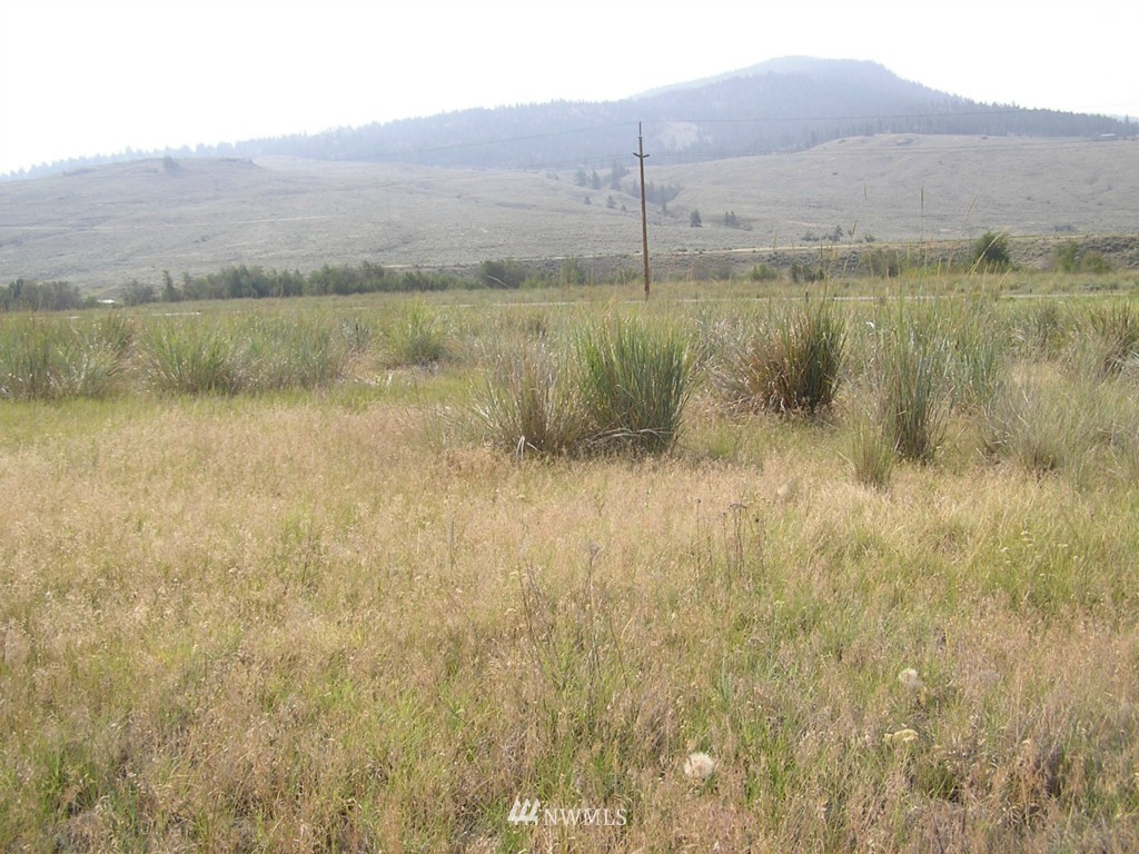 1 West Old Anglin Road Tonasket, WA 98855 - Photo 7 of 16 Gallery Image 7
