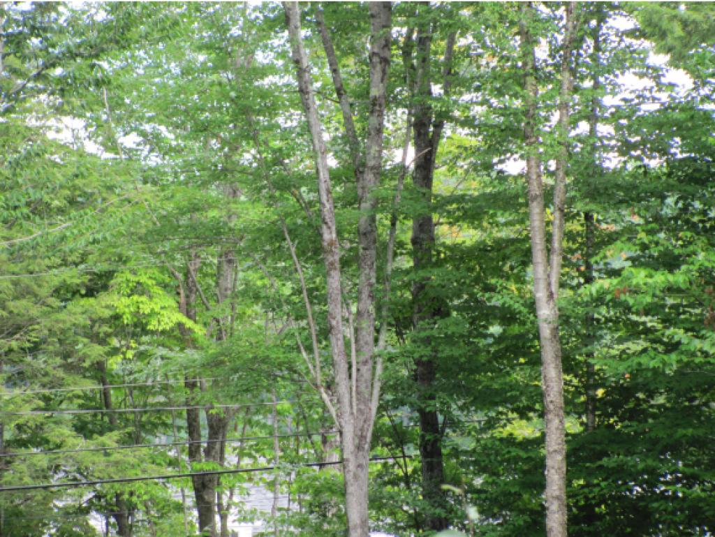 84 Sands Of Time Road Hanover, NH 03755 - Photo 1 of 8