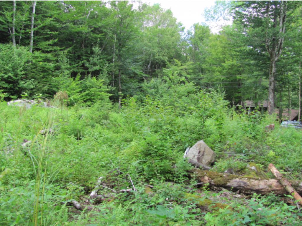 84 Sands Of Time Road Hanover, NH 03755 - Photo 5 of 8
