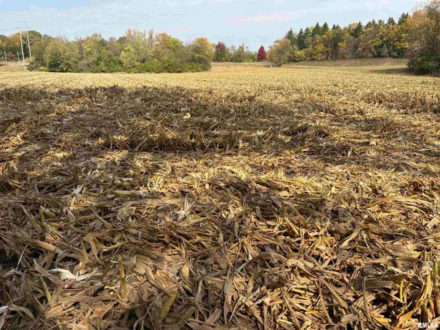 $255,000 | 25 North Thousand Dollar Road, Brimfield, IL 61517