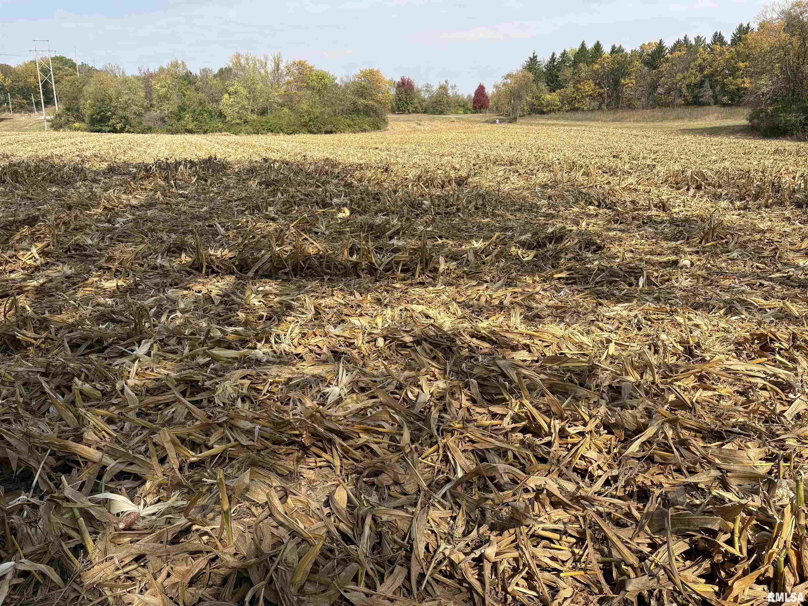 25 North Thousand Dollar Road Brimfield, IL 61517 - Photo 12 of 18