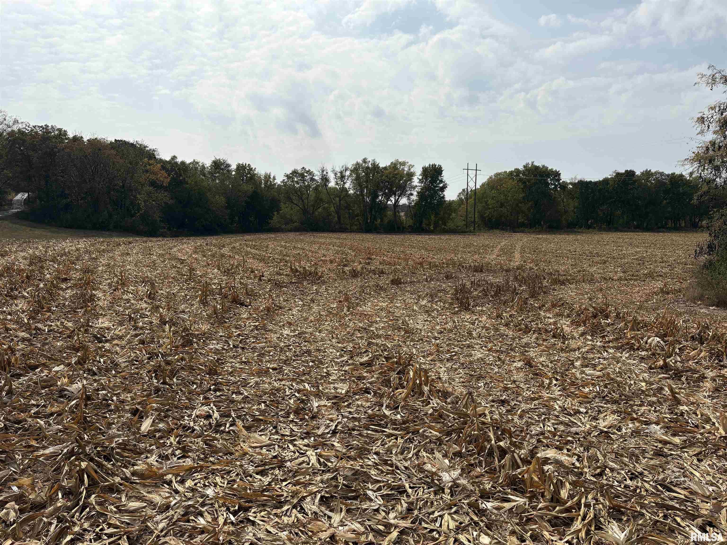 25 North Thousand Dollar Road Brimfield, IL 61517 - Photo 13 of 18