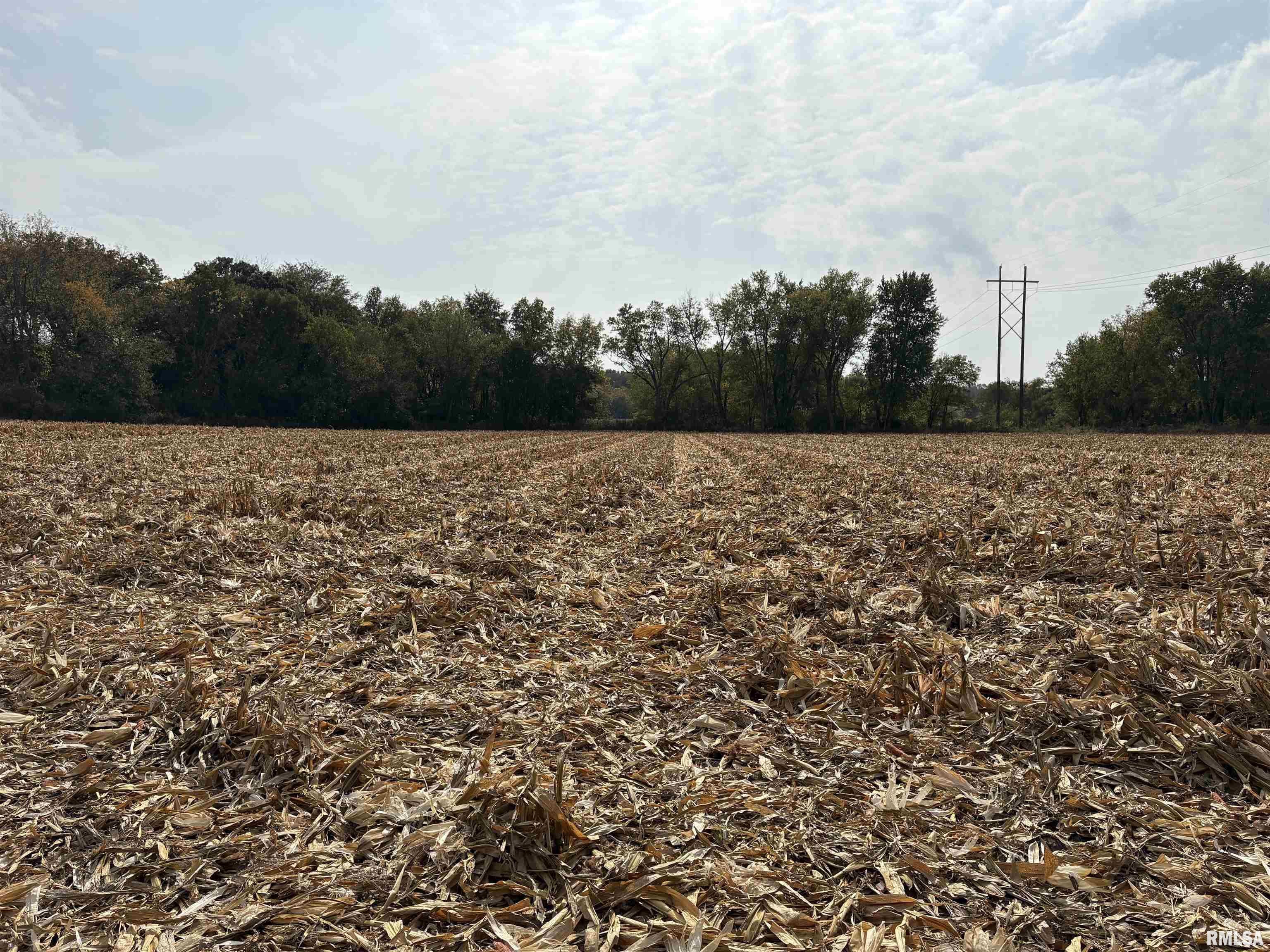 25 North Thousand Dollar Road Brimfield, IL 61517 - Photo 14 of 18