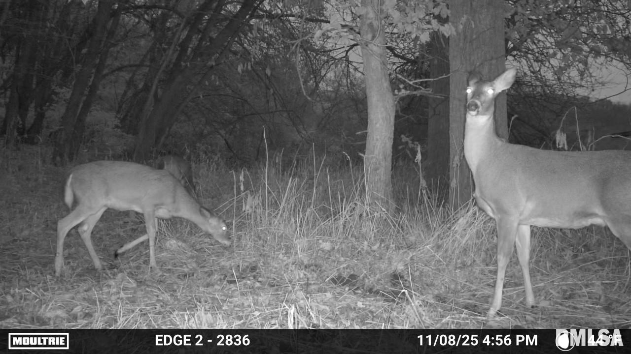 25 North Thousand Dollar Road Brimfield, IL 61517 - Photo 15 of 18