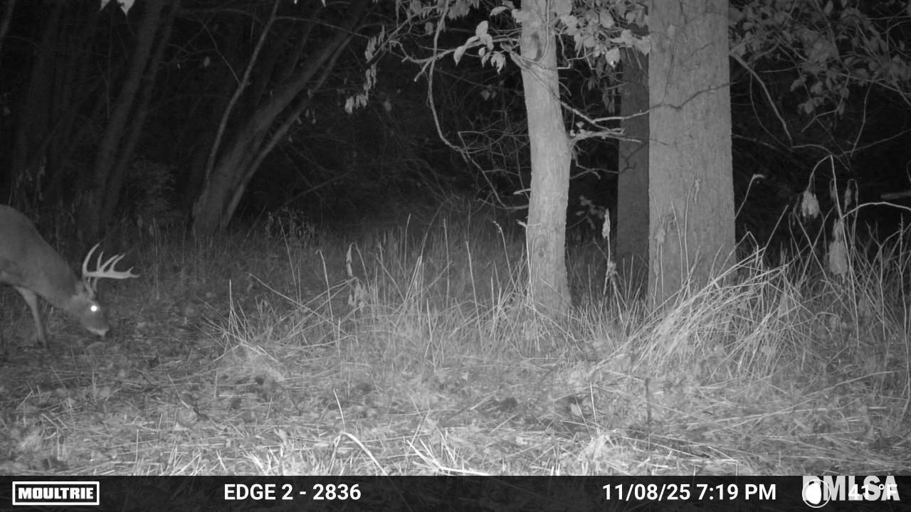 25 North Thousand Dollar Road Brimfield, IL 61517 - Photo 16 of 18