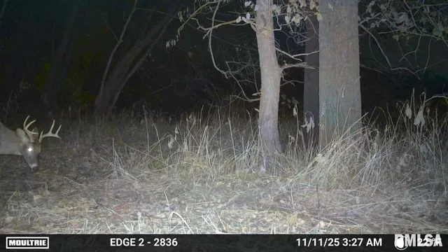 $255,000 | 25 North Thousand Dollar Road, Brimfield, IL 61517