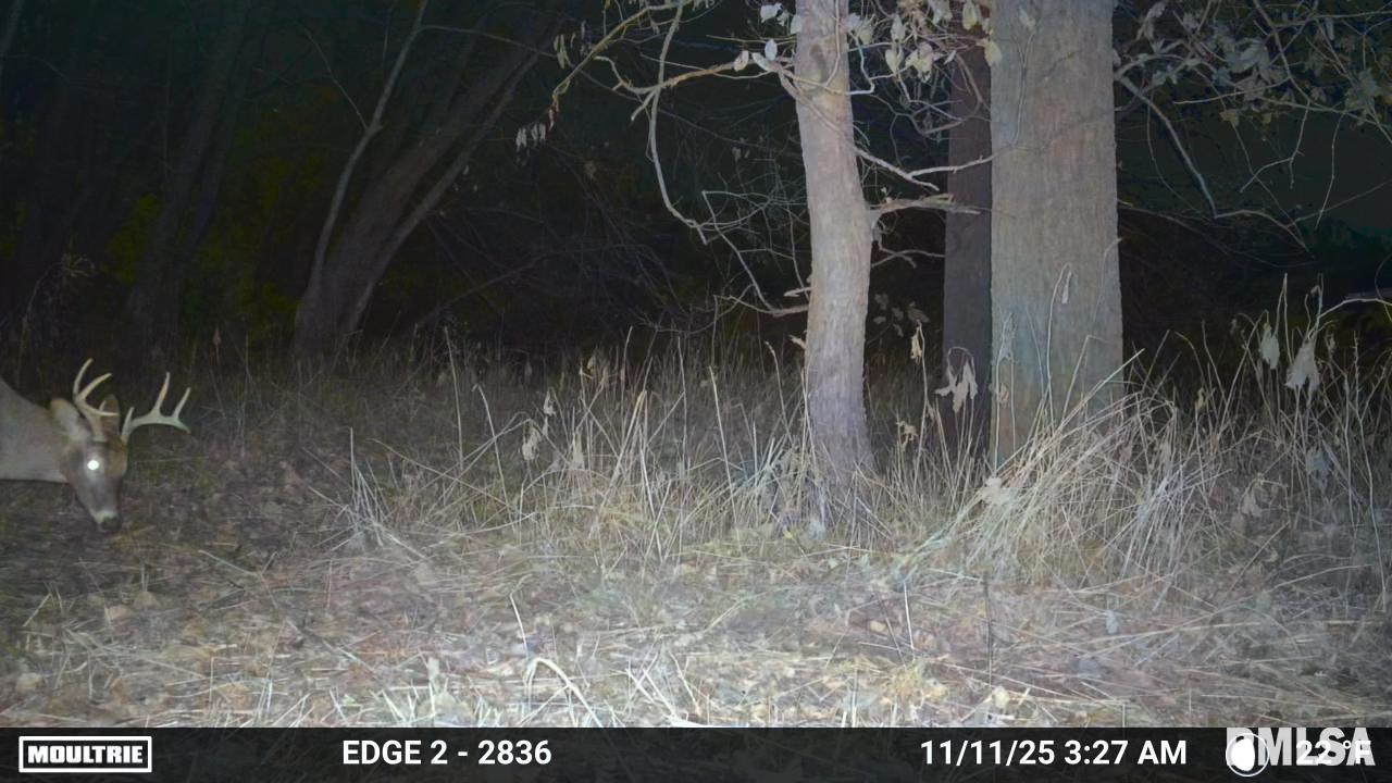 25 North Thousand Dollar Road Brimfield, IL 61517 - Photo 17 of 18