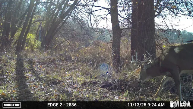 $255,000 | 25 North Thousand Dollar Road, Brimfield, IL 61517