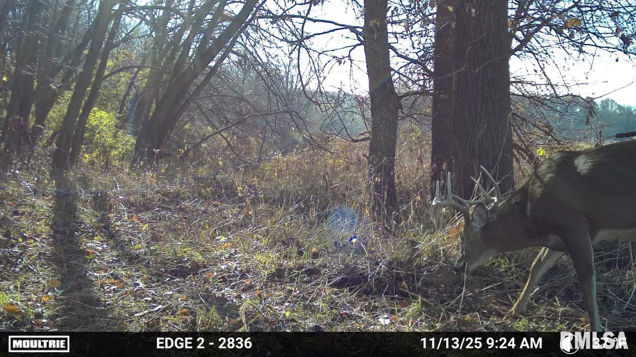 25 North Thousand Dollar Road Brimfield, IL 61517 - Photo 18 of 18