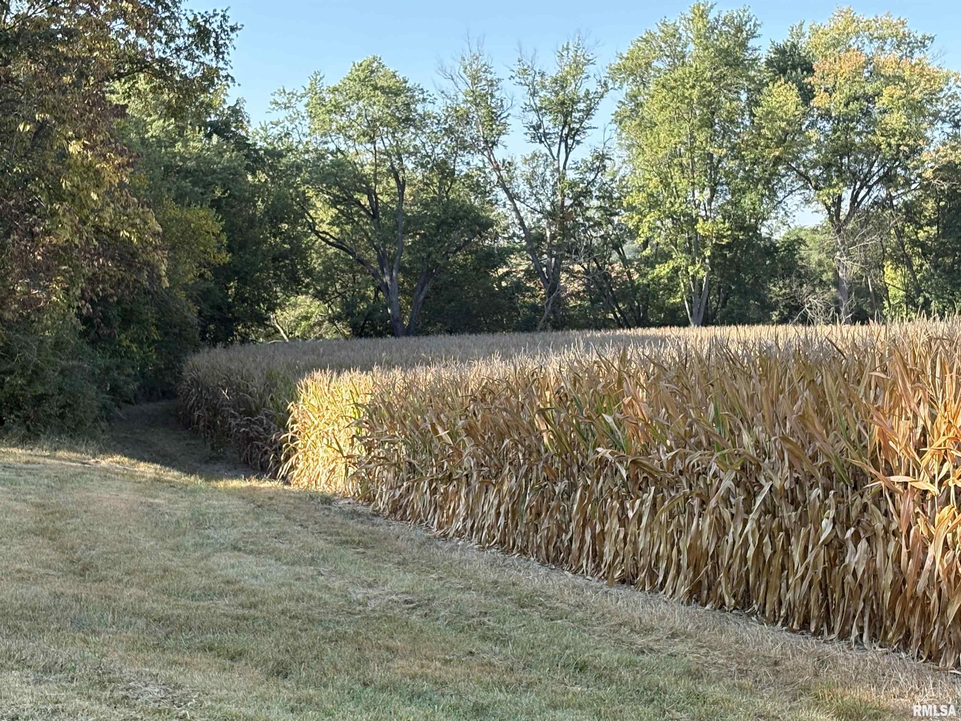 25 North Thousand Dollar Road Brimfield, IL 61517 - Photo 5 of 18