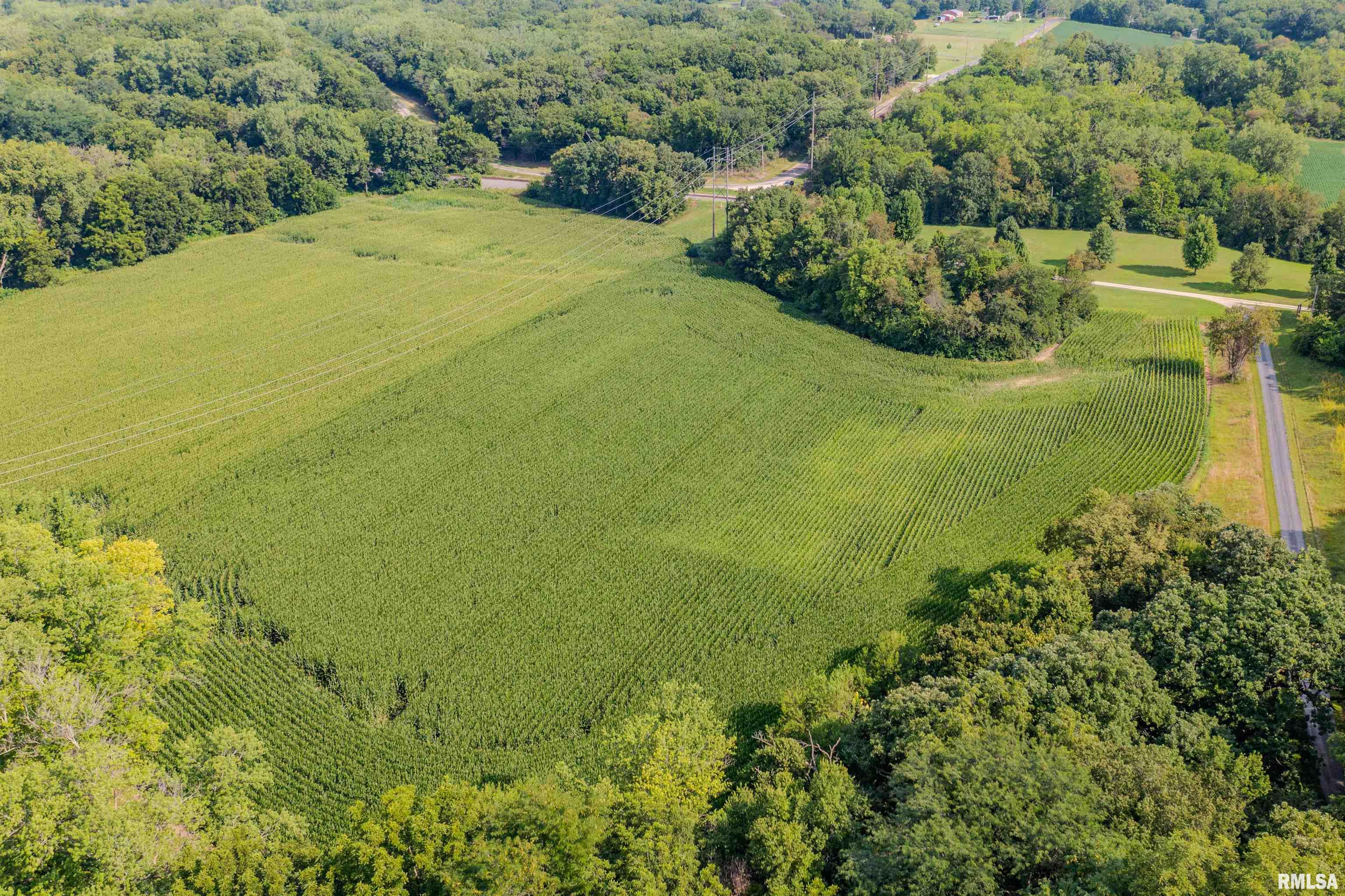 25 North Thousand Dollar Road Brimfield, IL 61517 - Photo 7 of 18